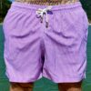 SHORT ELASTIC MICRO LISTRA LILÁS
