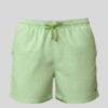 SHORTS ELASTIC LINHO PRINT VERDE LIMÃO